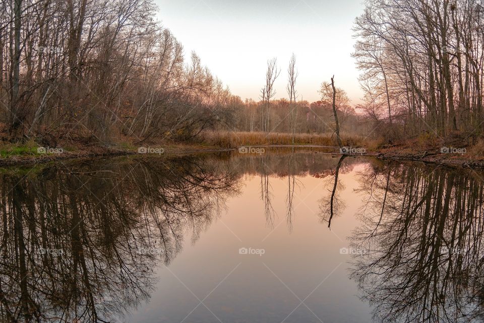 Small pond at Maybury State Park in Northville Michigan. Title: Twin Peaks. 
