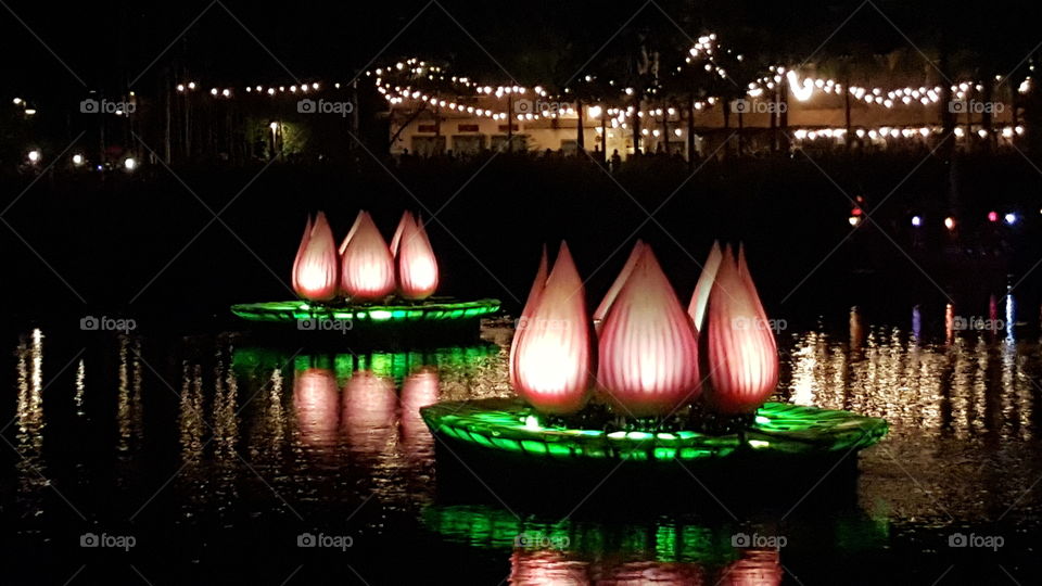 The flowers light up the waters of Discovery River during Rivers of Light at Animal Kingdom at the Walt Disney World Resort in Orlando, Florida.