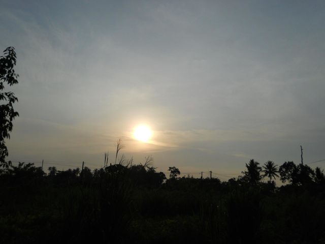 backlit sunset