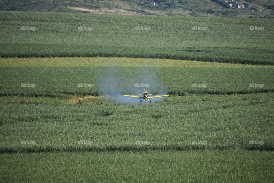 An Anti-Pests Blast. An Aircraft Starts A Pest Clean Up In The Field.