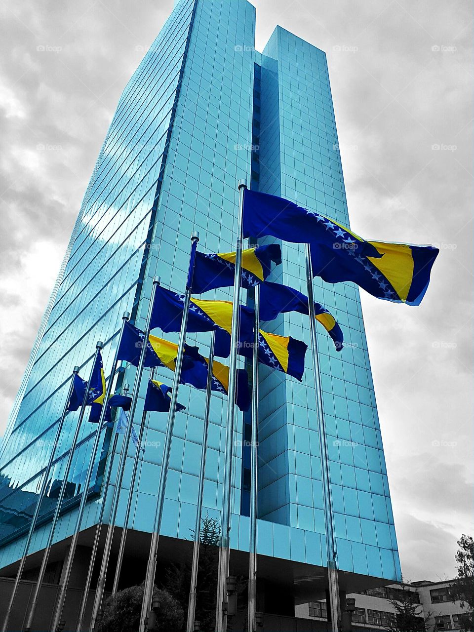 the flag and colors of my state Bosna i Hercegovina