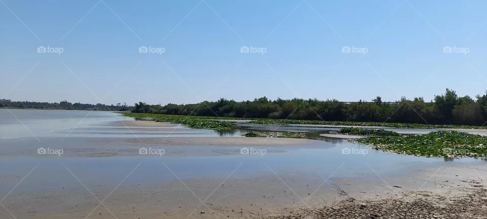 lagoas