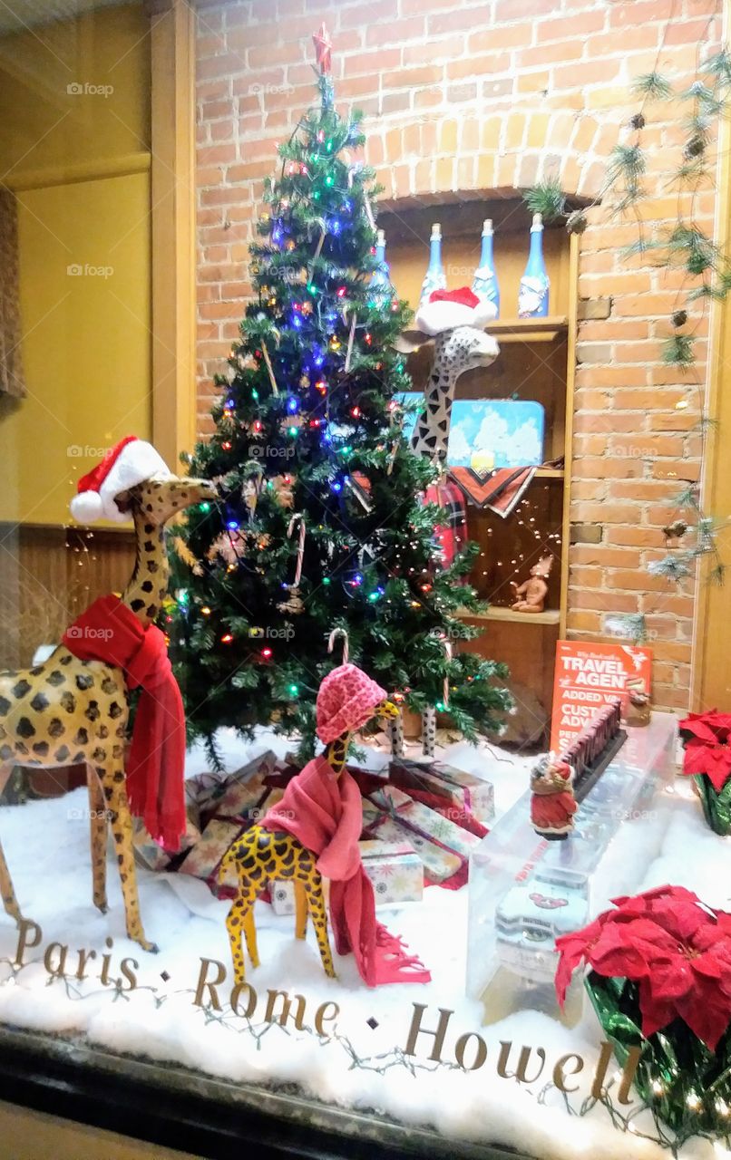 Giraffes celebrating Christmas in a window display 💕😊🎄