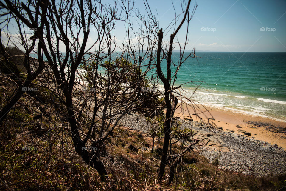 Beach view from behind the trees - Noosa Heads 