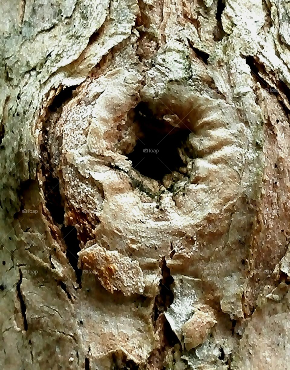 Bark skin
