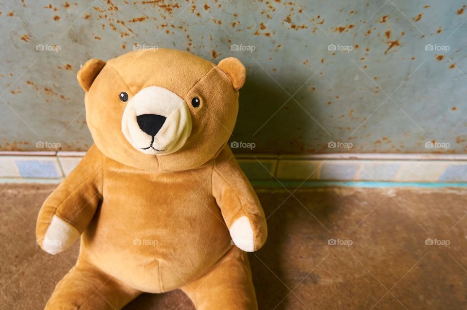 Teddy bear isolated on floor background with copy space 
