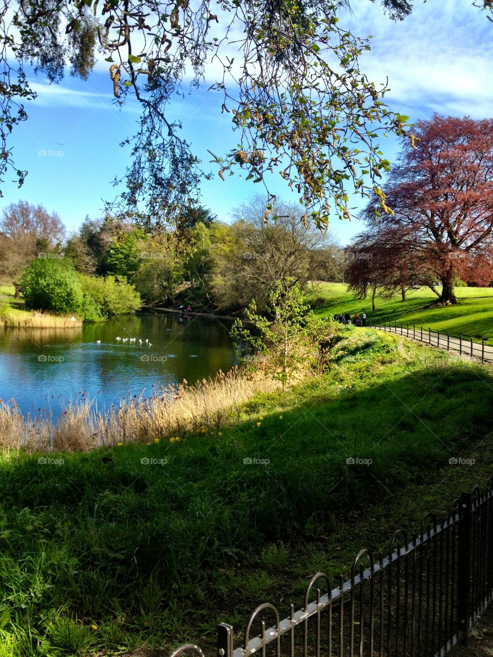 Ireland Greens. Park in Dublin, Ireland