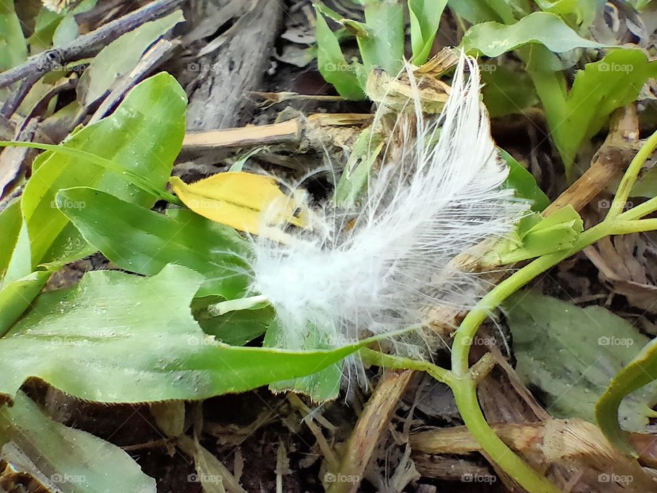 micro cam pic Realme5 pro