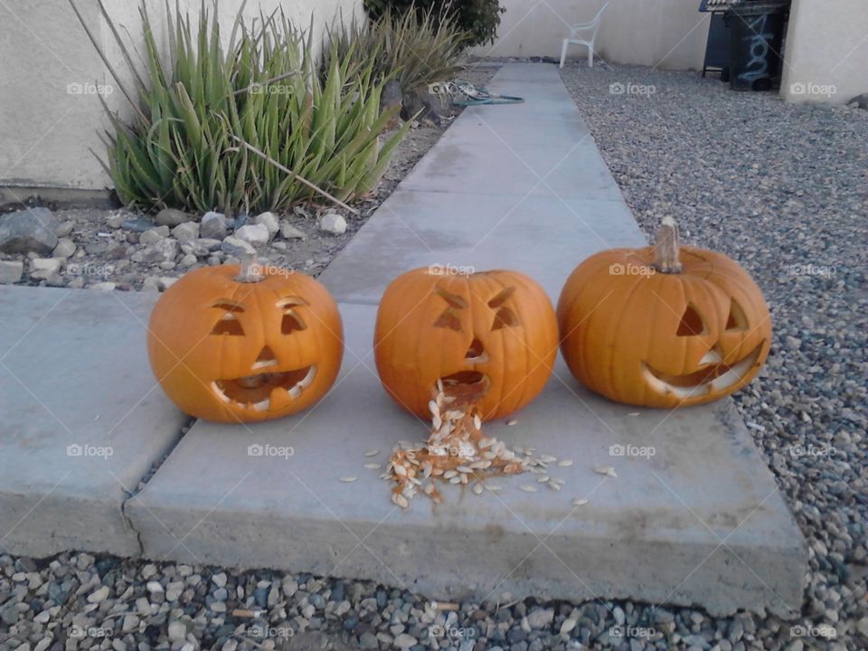 Halloween Yard Pumpkins Art