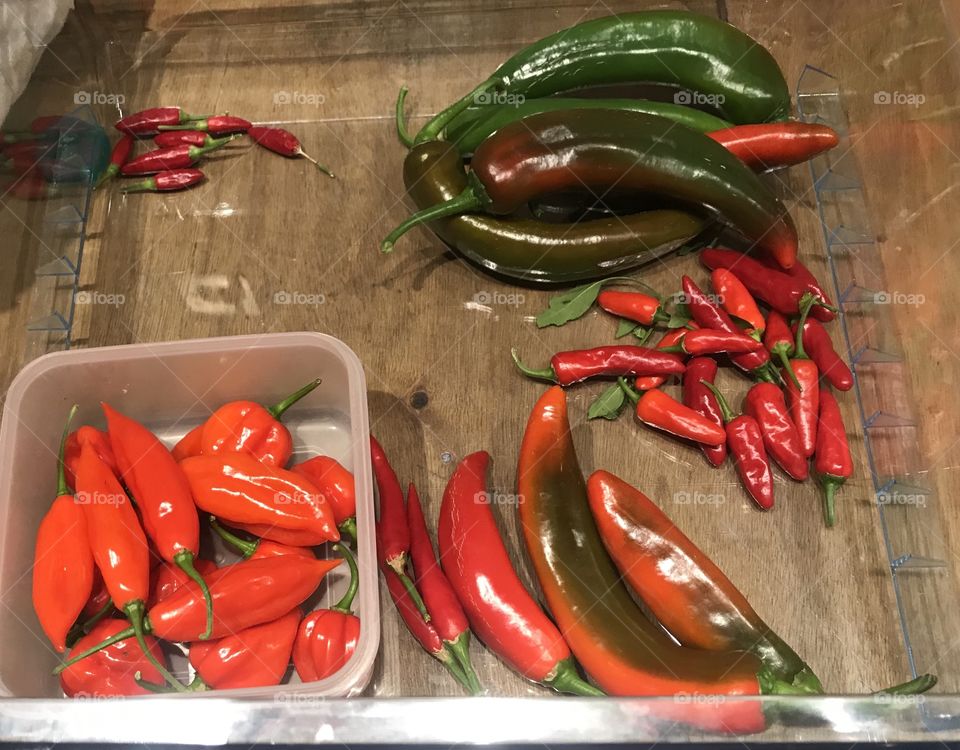 Pic of Different Chilli