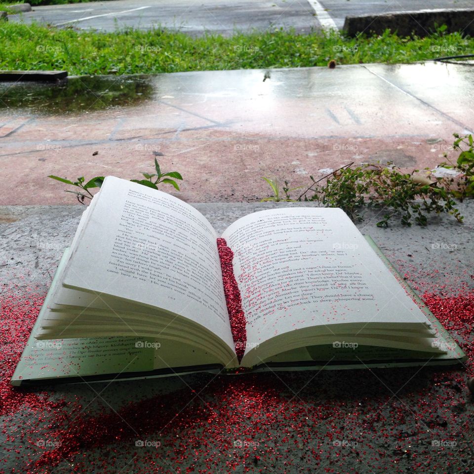 Rainy reading