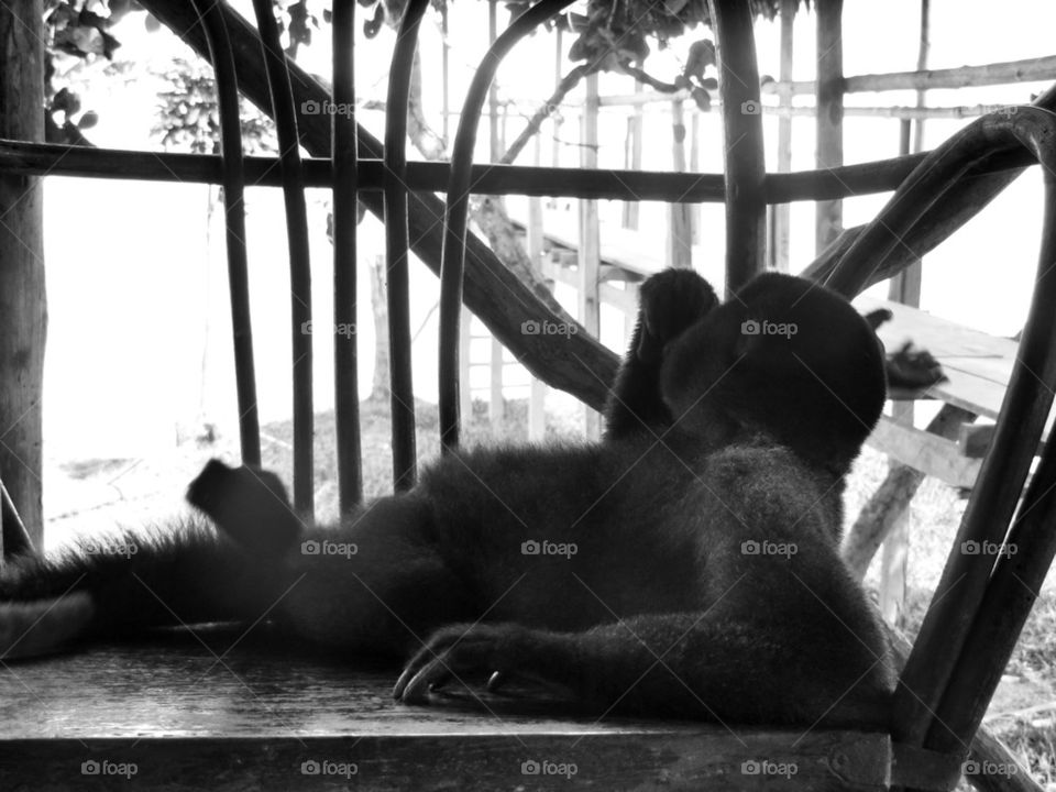 Relaxing by the amazon