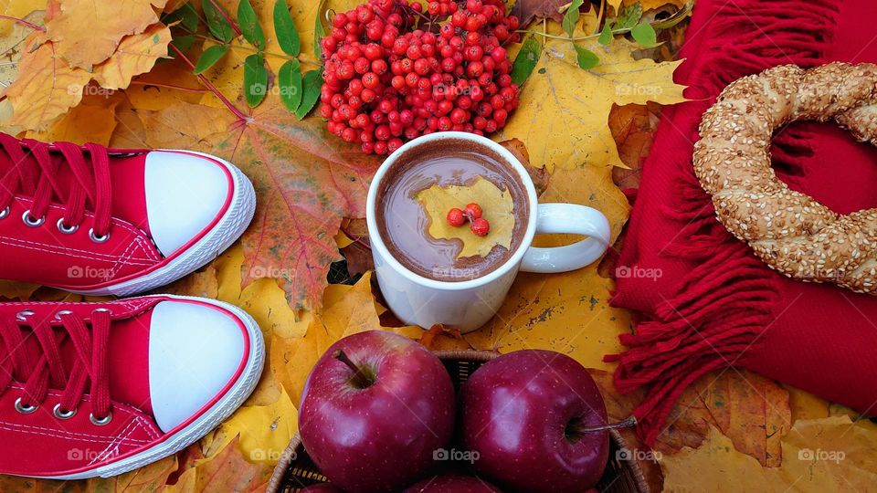 Autumn vibe 🍁🍎🍂 The Park 🍁🍎🍂 The picnic 🍁🍎🍂