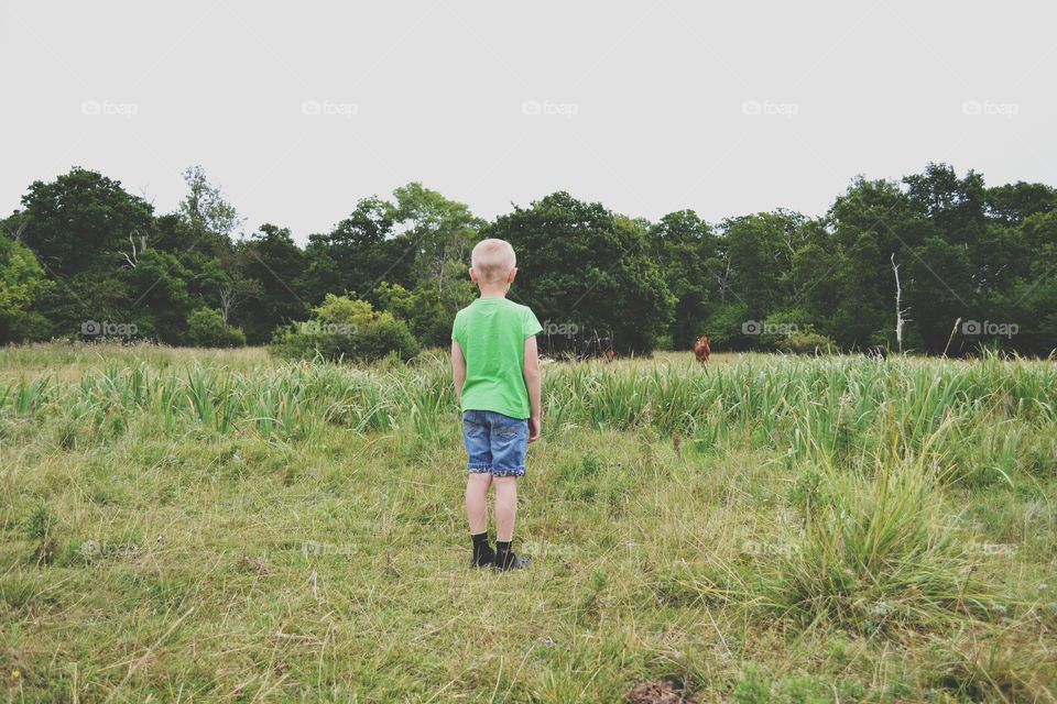 Landscape, Field, Nature, Grass, Cropland