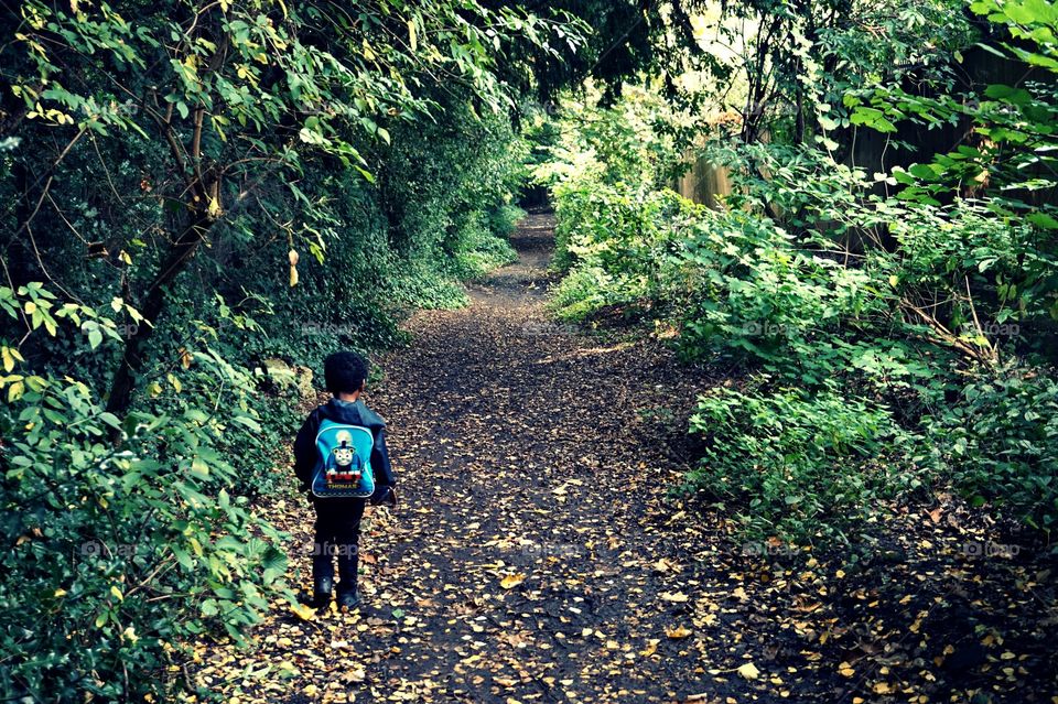 If you go down to the woods to day