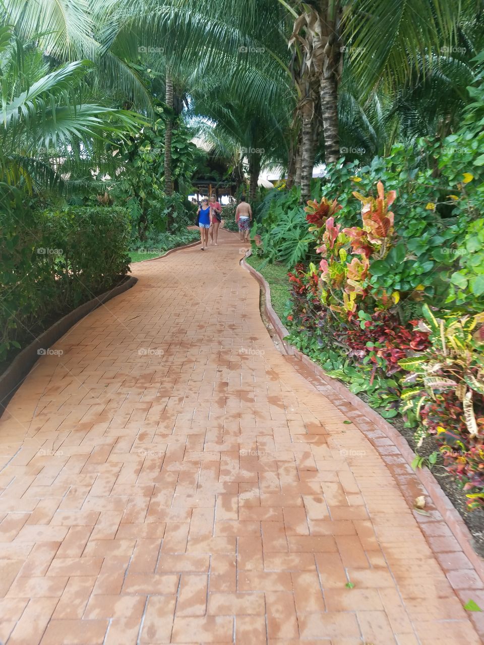 walkway
