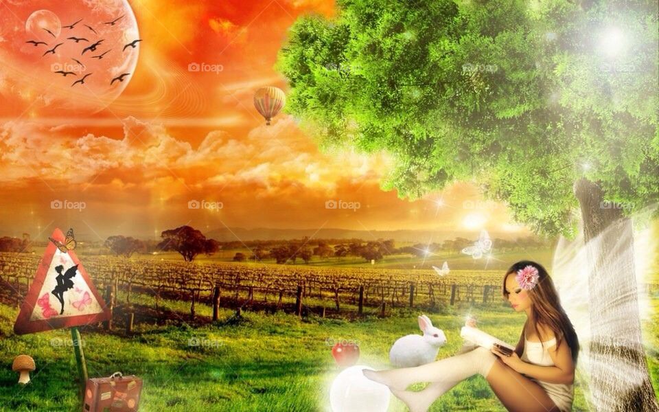 Fairy reading a book