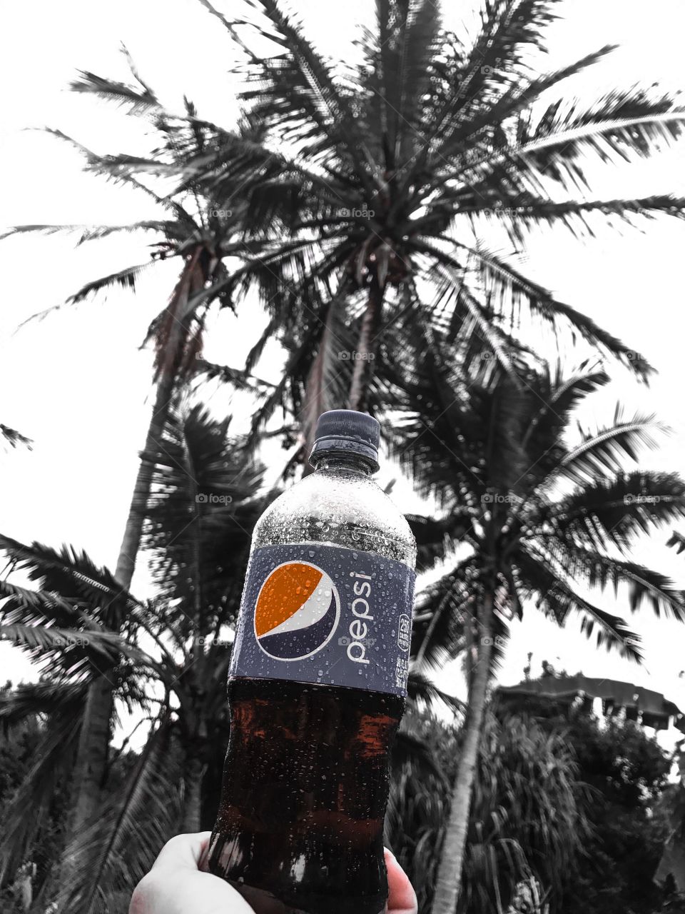 Pepsi With Coconut Trees 