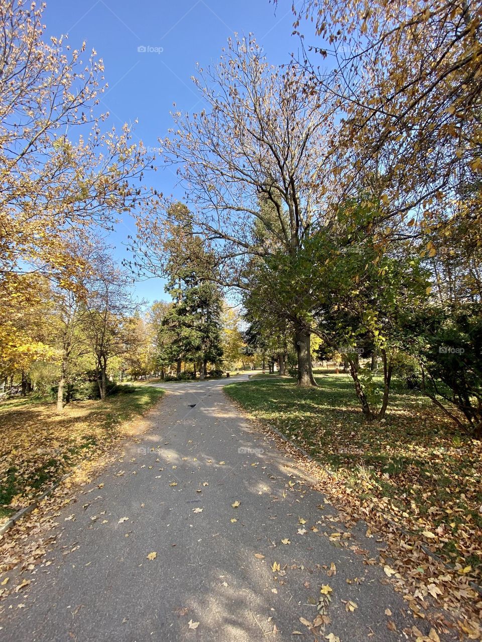 Beautiful view of parkway 