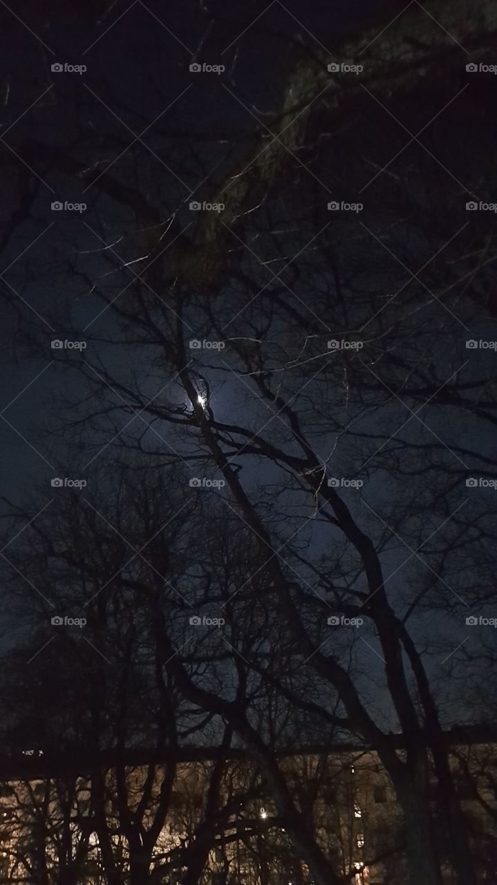 Oslo by night Norway