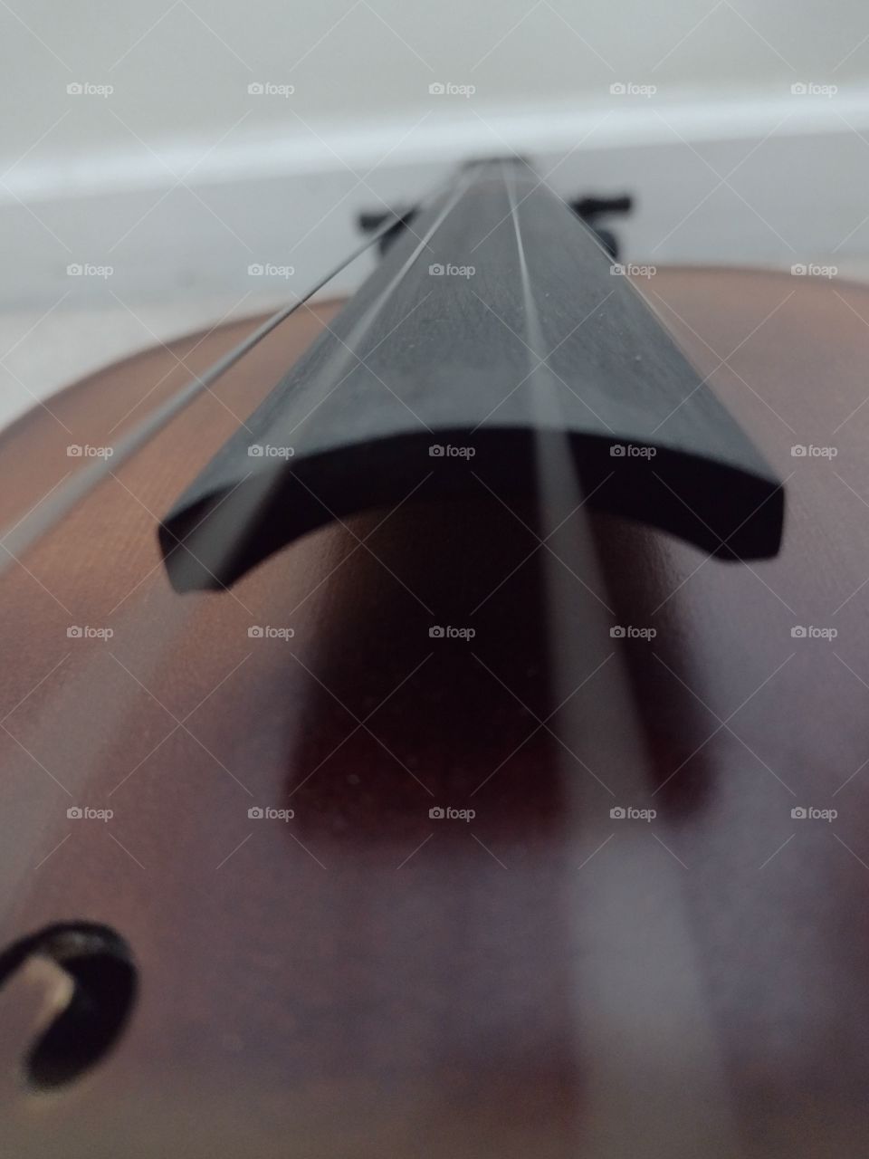 Unfiltered, beautiful close-up of a classic violins strings