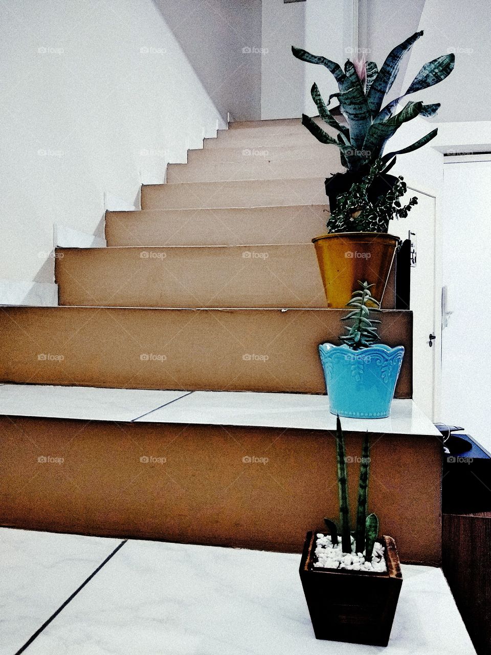 Ladder plants
