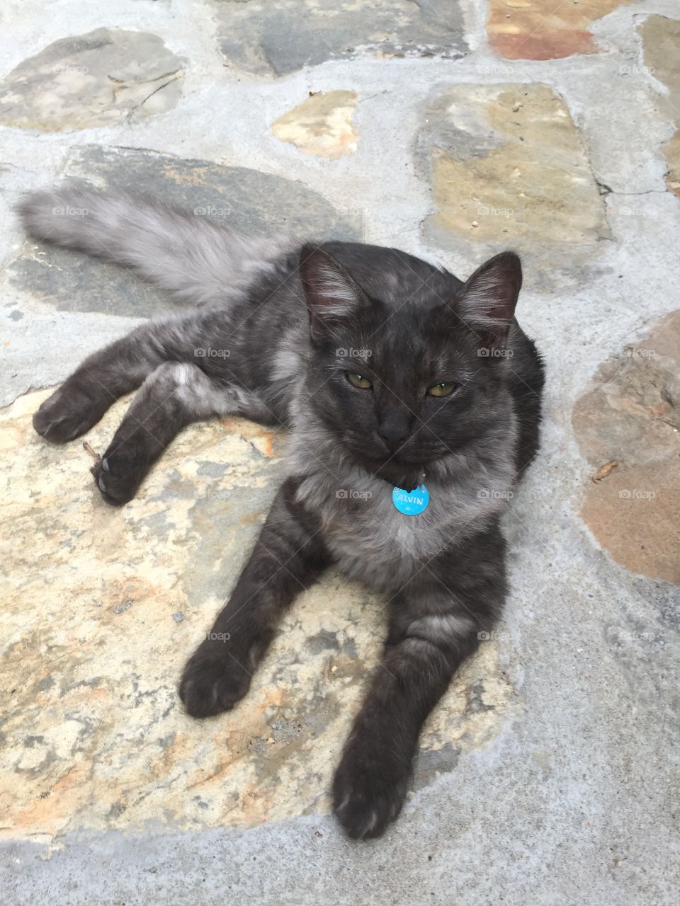 My good friend King Alvin 💙