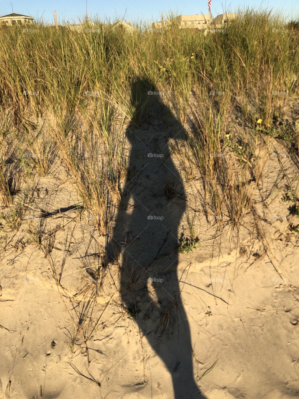 Walking silhouette in sun