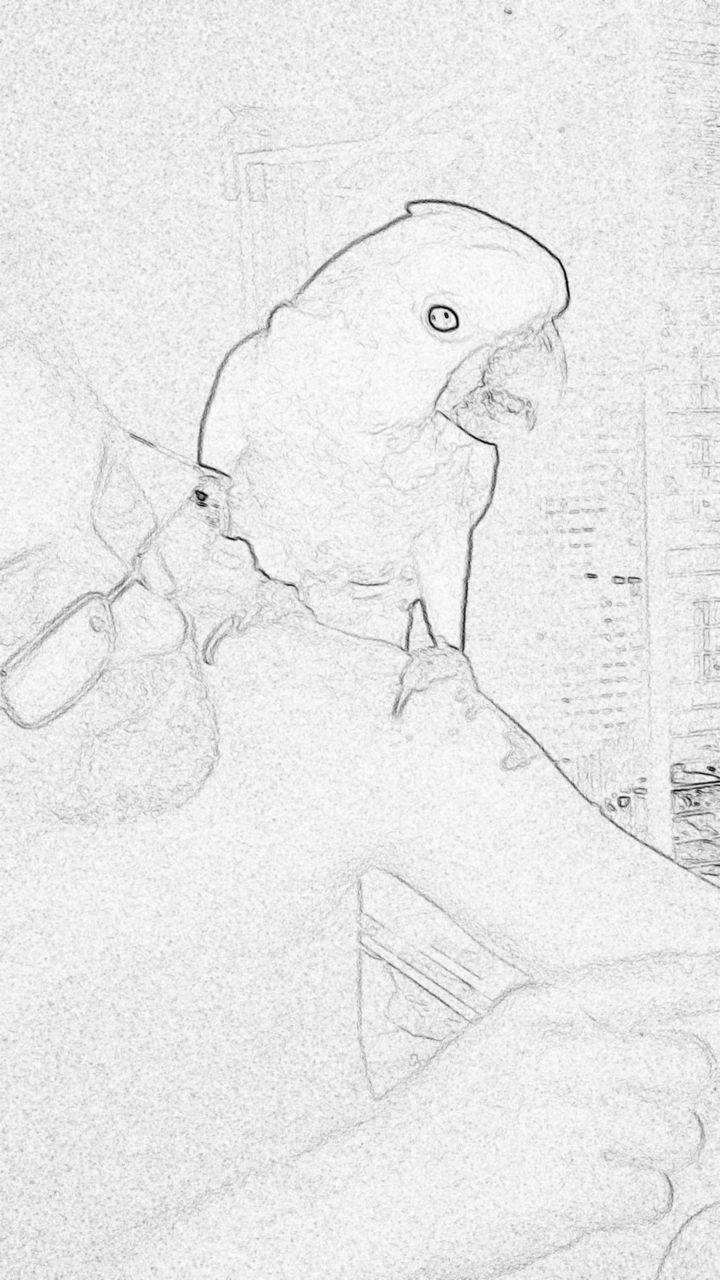 Illustration, Art, Chalk Out, Print, Retro