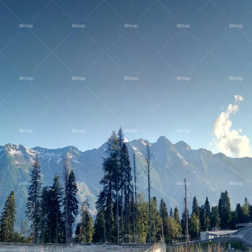 2000 над уровнем моря