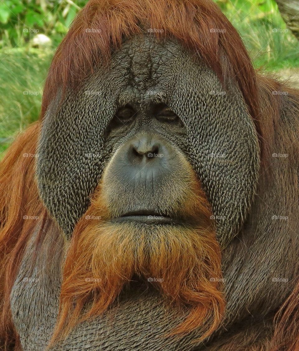 The way I feel in the mornings 