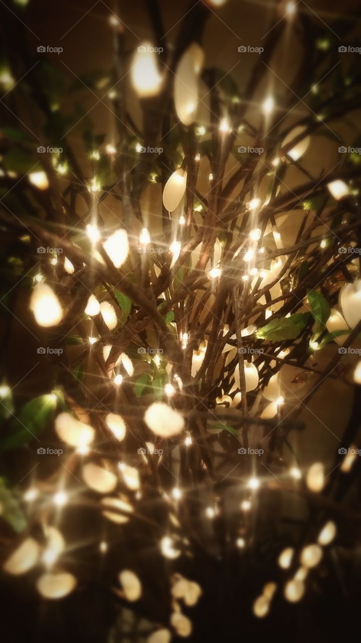 Lighted flower display