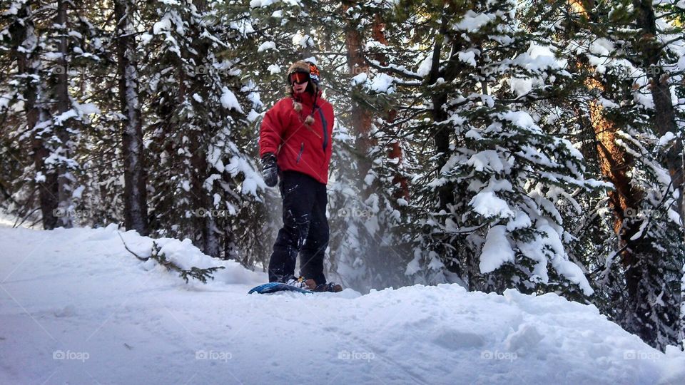 Snowboarder in winter forest