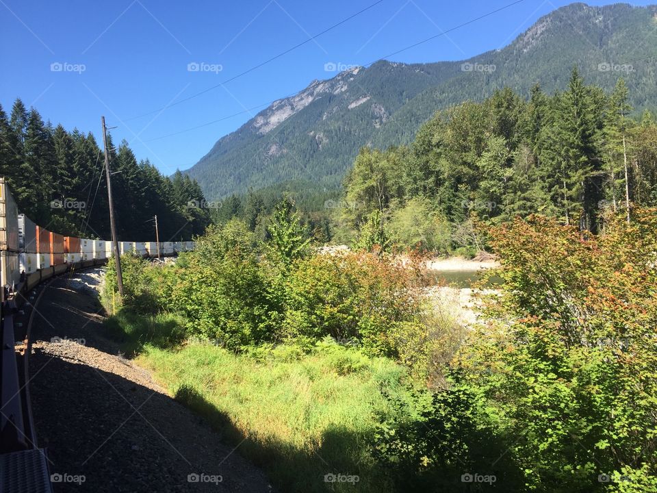 Landscape, Tree, Nature, Wood, Mountain