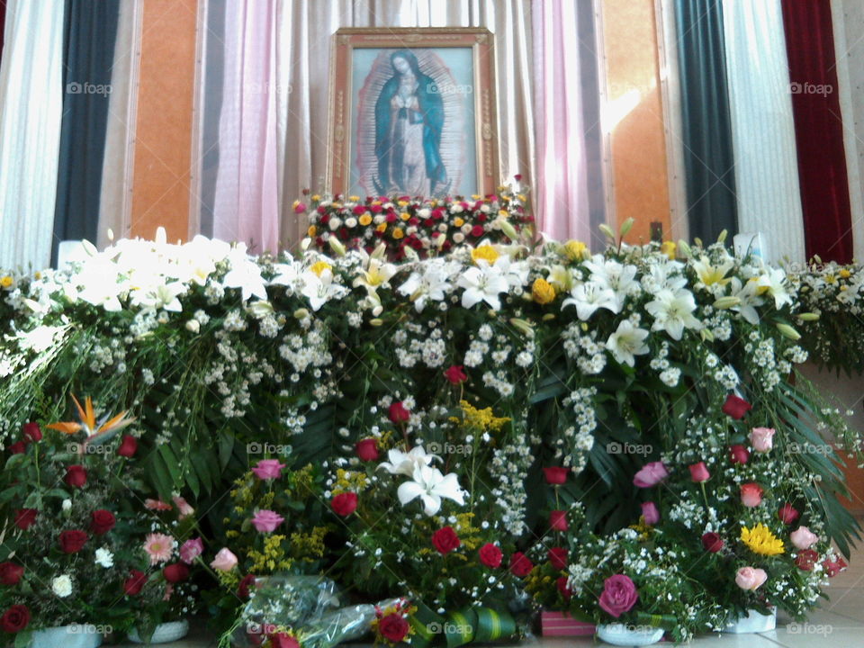 Day of the Virgin Mary of Guadalupe