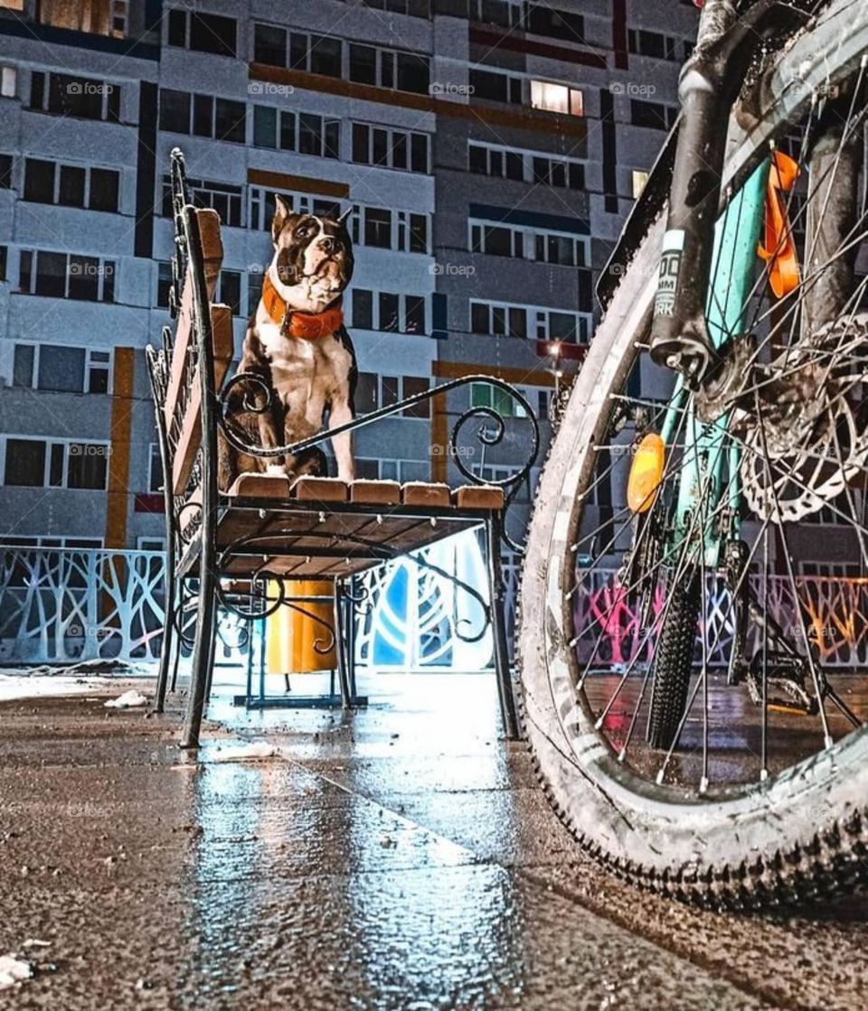 Городские прогулки