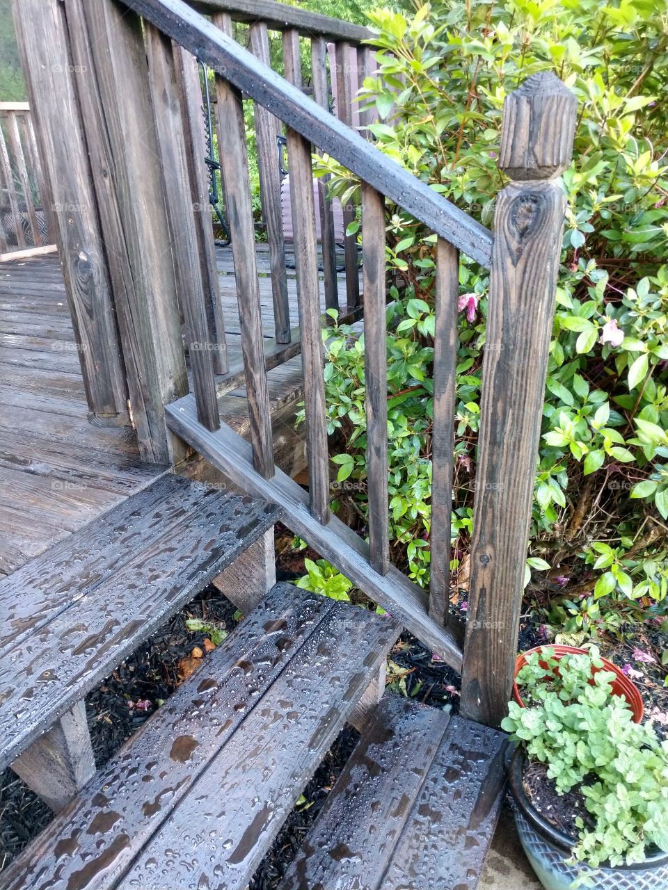 stained deck
