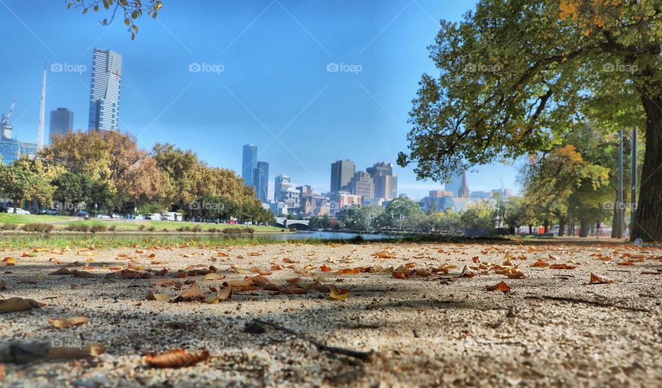 Autumn in Melbourne 