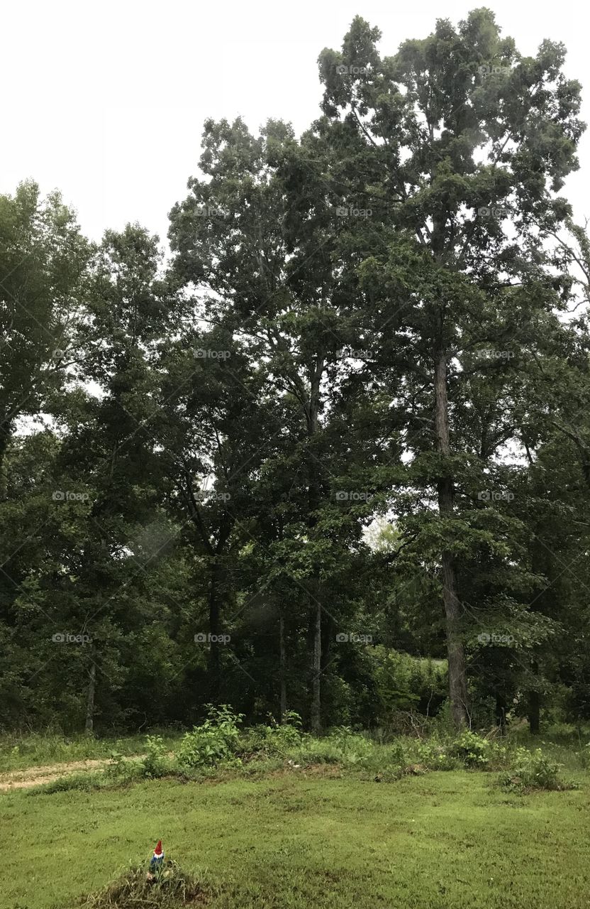 View from my Bedroom 