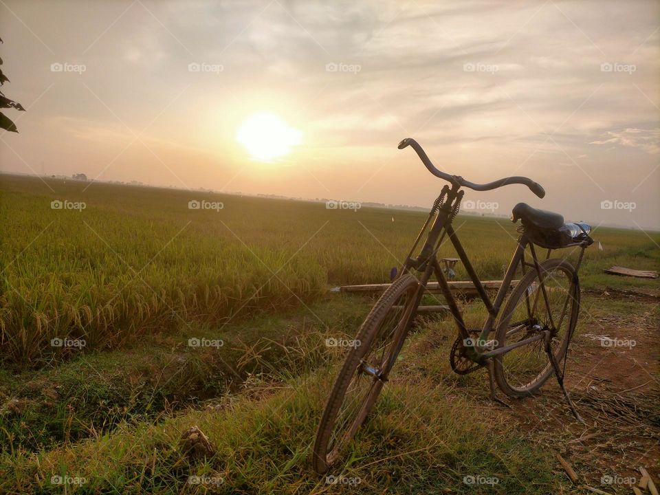Old bicycle with sunset view