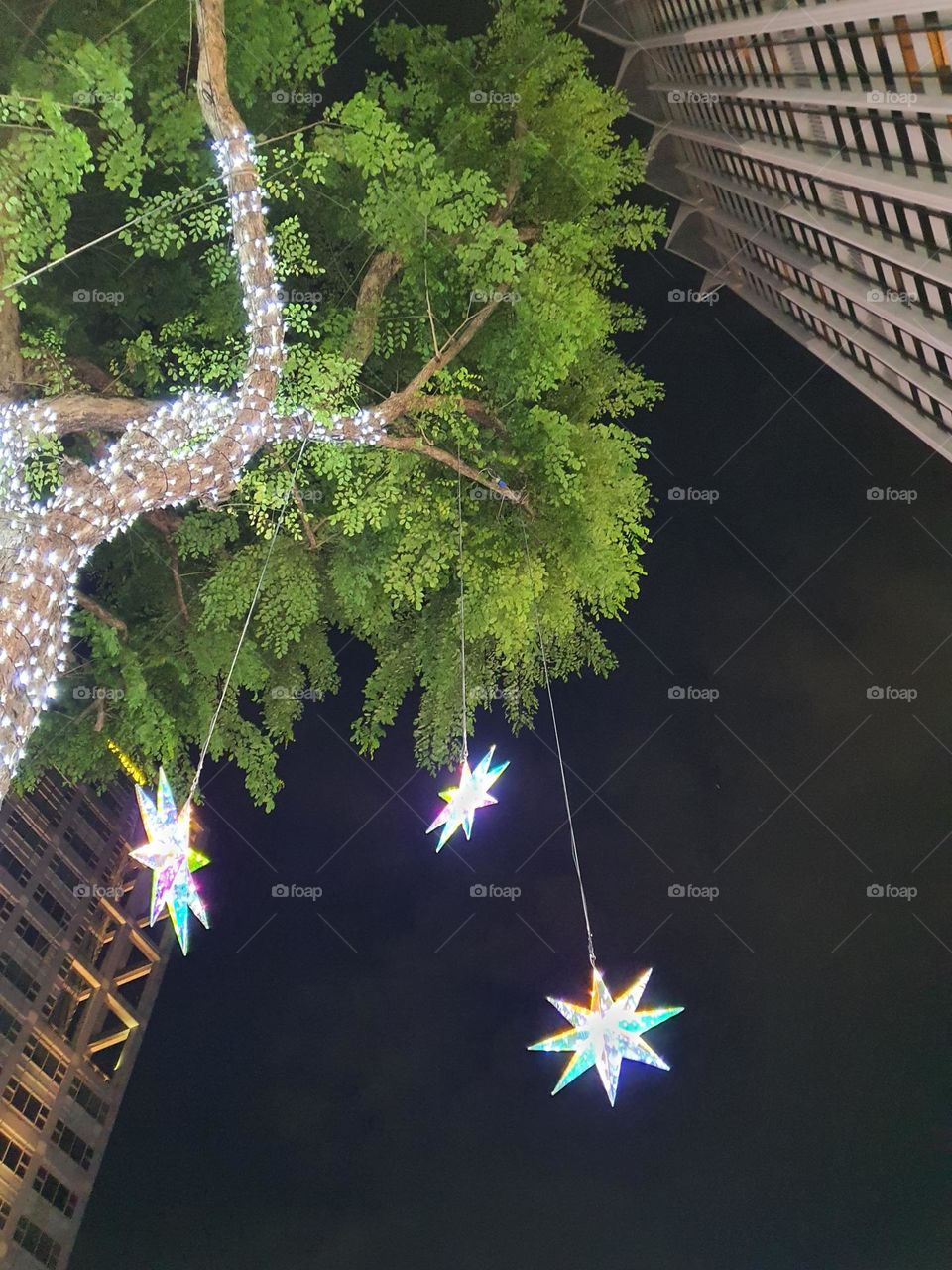 hanging stars to tree