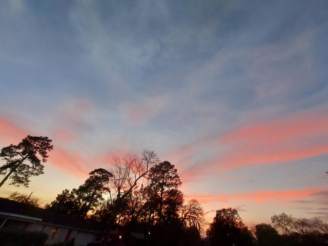 A Pink and Colorful Skyline!