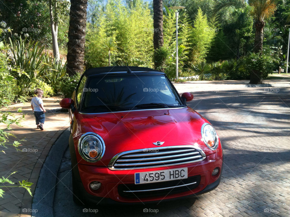 red summer mini convertible by zebra
