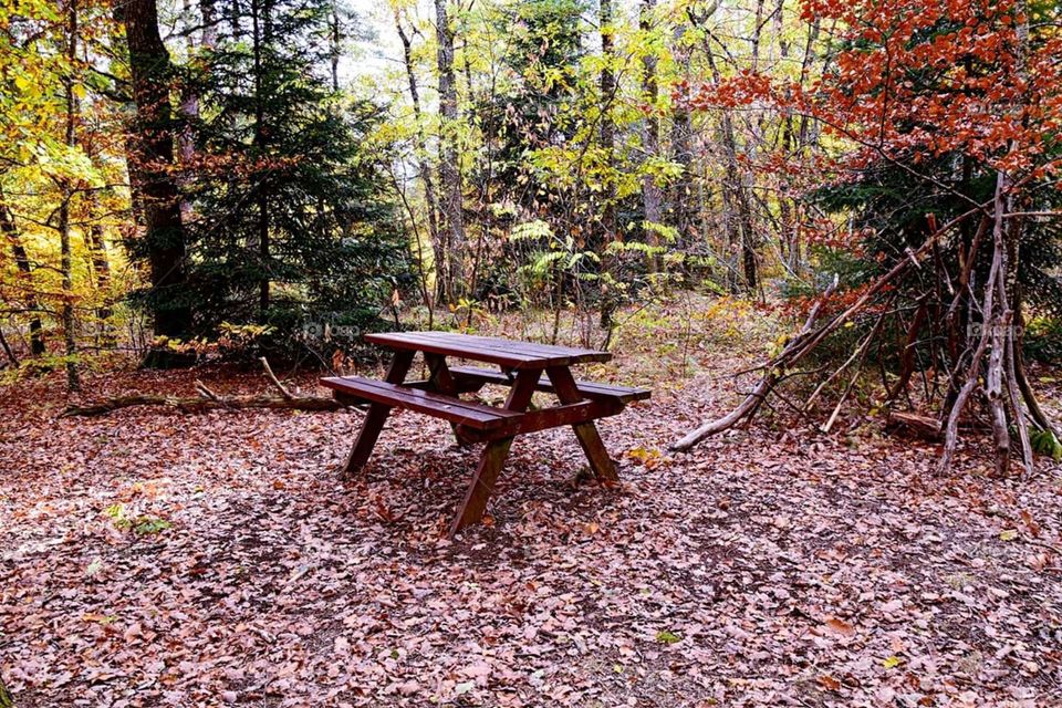 View of a wooden camping table in Loubeyrat forest in Auvergne France