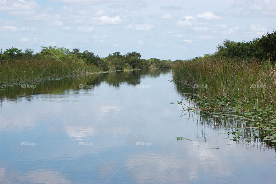 Florida Everglades 