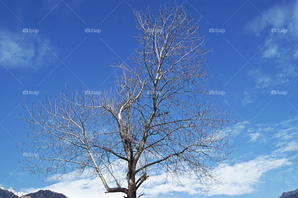 Perfect Imperfections.