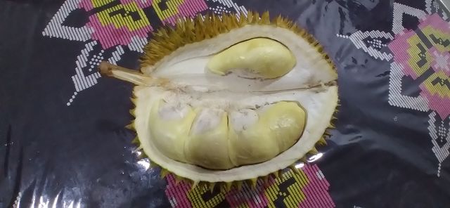 duriyan fruit. a delicious fruit that you must eat.try it today itself.Very delicious.