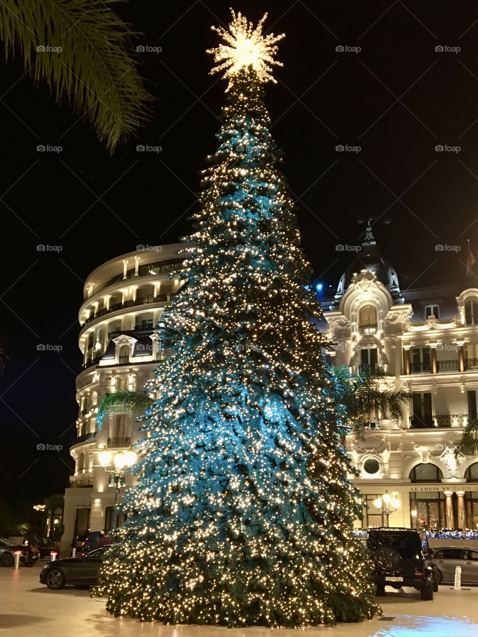 Illuminated Christmas tree
