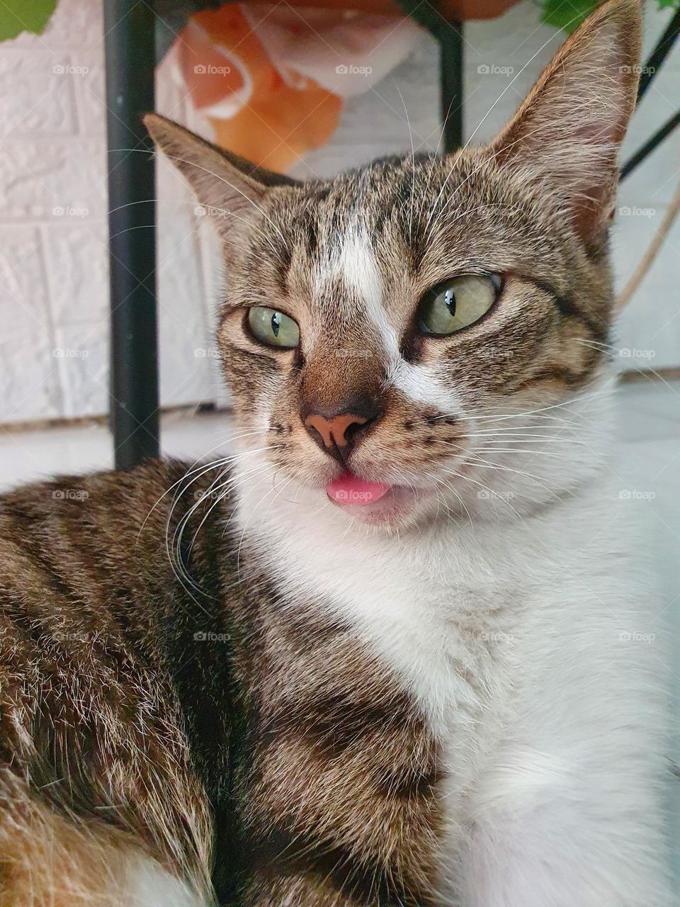 Editors' Choice : Photo of the week