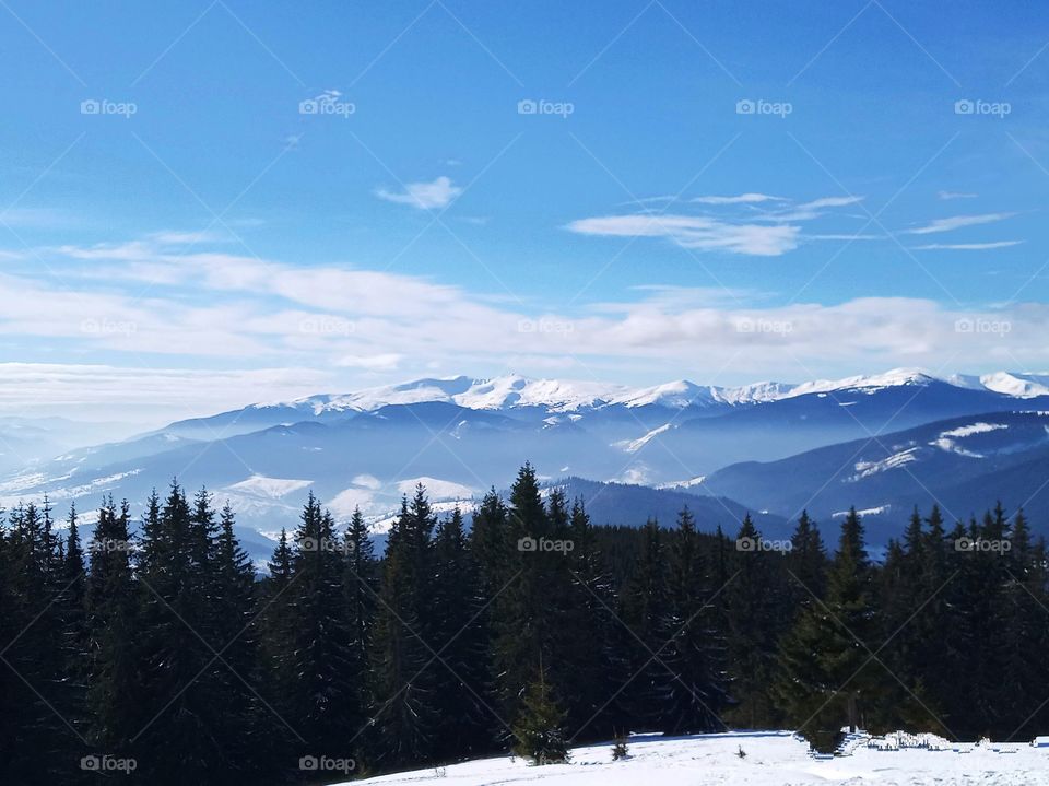 winter nature. winter landscape. Carpathian.